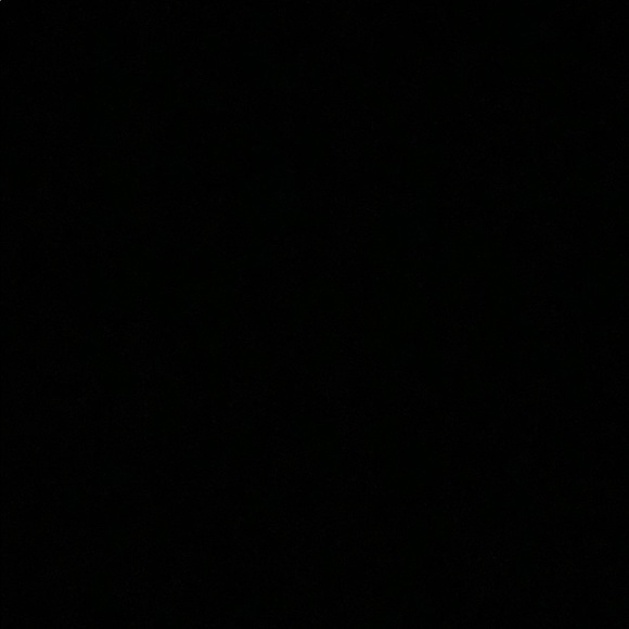 Meet your Posher, Lily - Picture 1 of 1